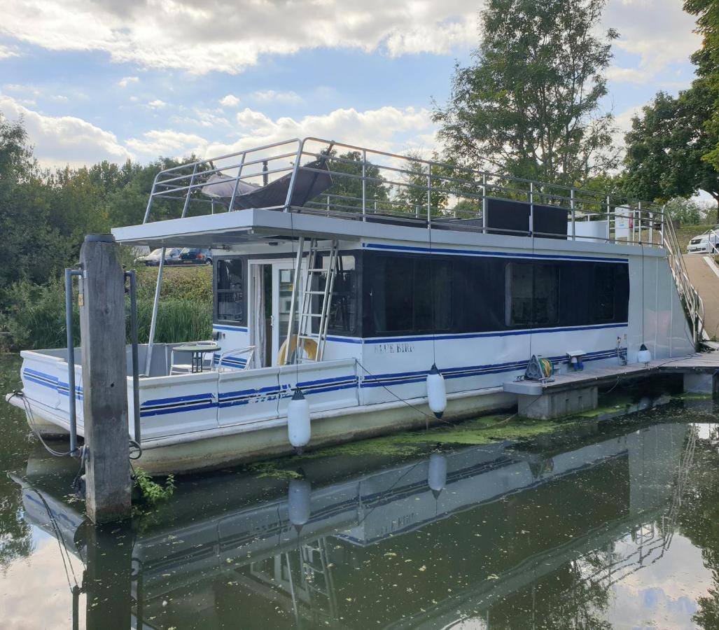ホテルBluebird House-Boat イースト・モールジー エクステリア 写真